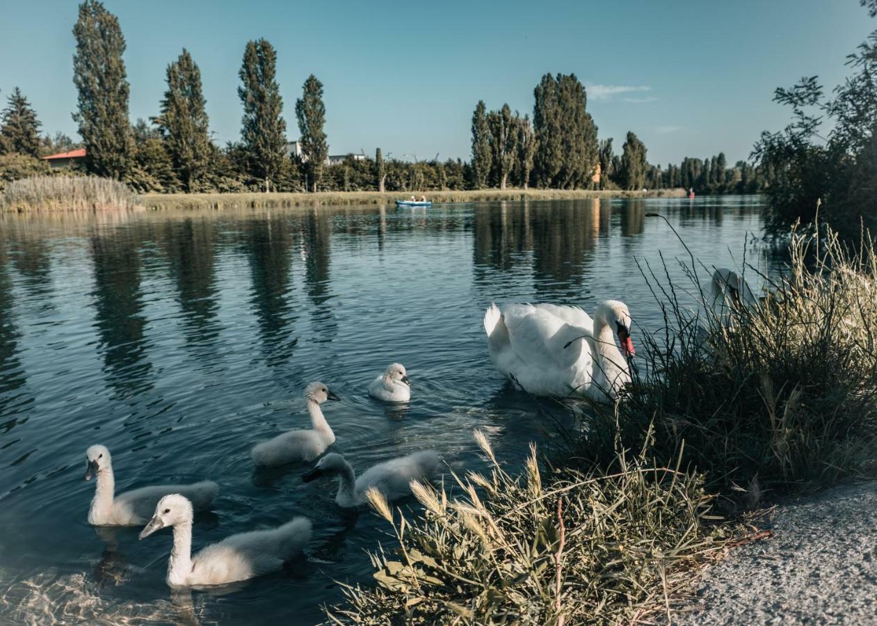 La Forgia Apartment Peschiera del Garda Eksteriør billede